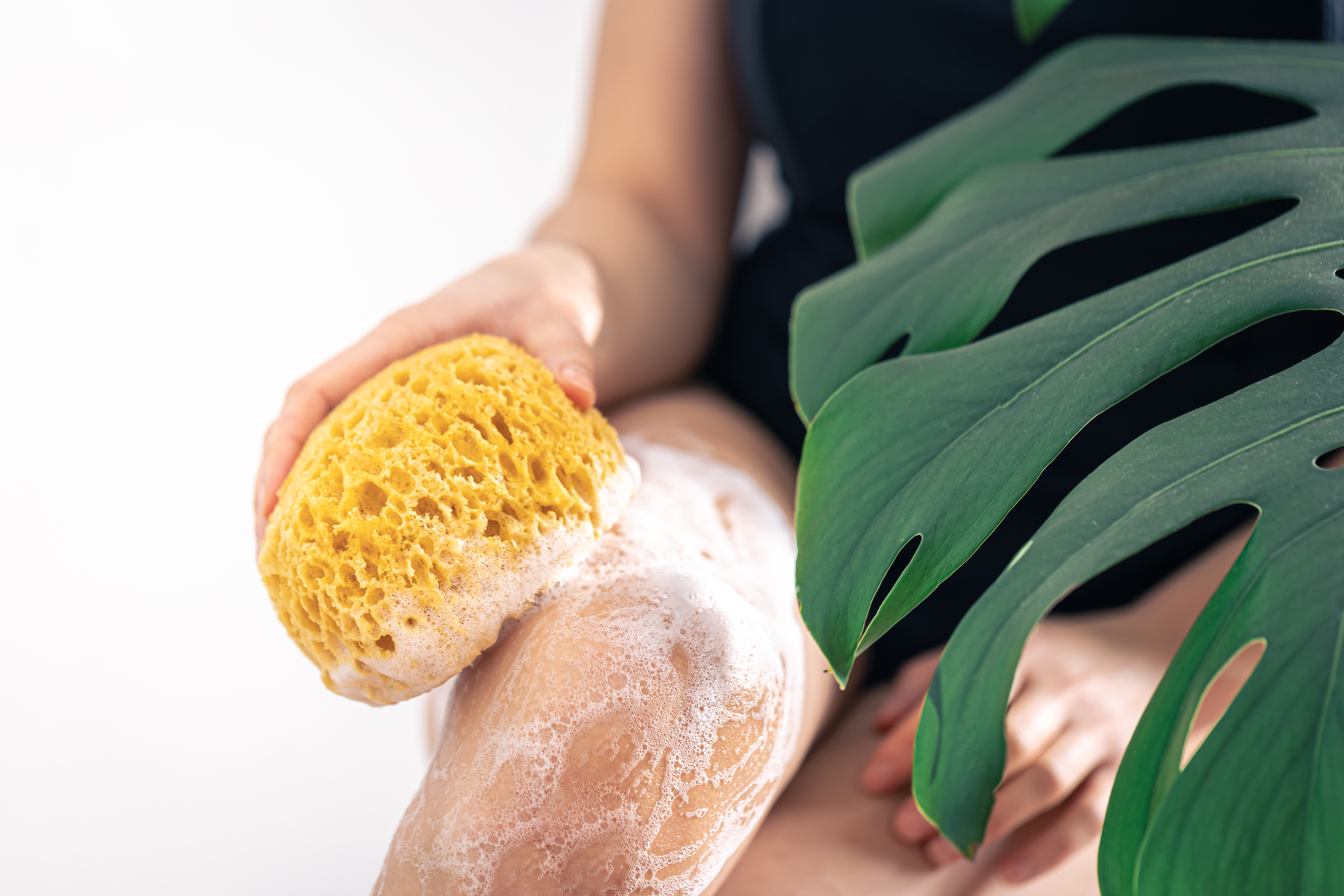 Dermatology